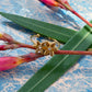 melovely Schmuck-Adventskalender für Frauen 2025 Edelstahl - Limited Edition